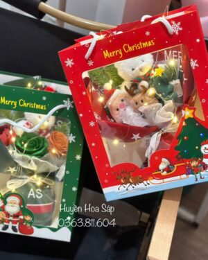 Hoa Sáp - Hoa Sinh Nhật102