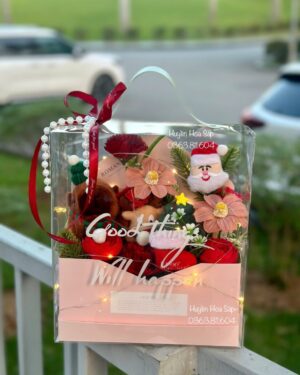 Hộp hoa Giáng Sinh - Hộp hoa Noel12