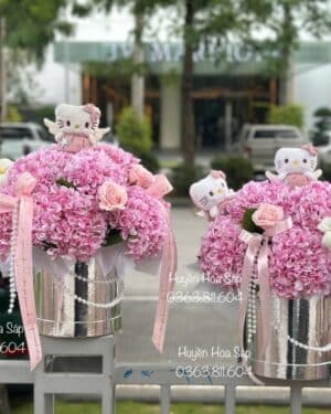 Hộp hoa cẩm tú cầu12