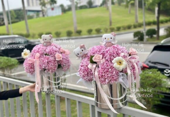 Hộp hoa cẩm tú cầu16