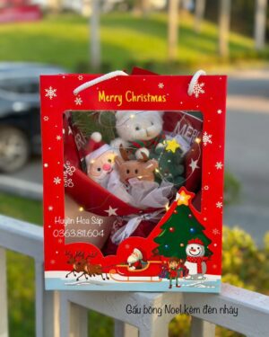 Túi hoa Giáng Sinh - Túi hoa Noel13
