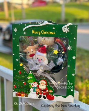 Túi hoa Giáng Sinh - Túi hoa Noel14